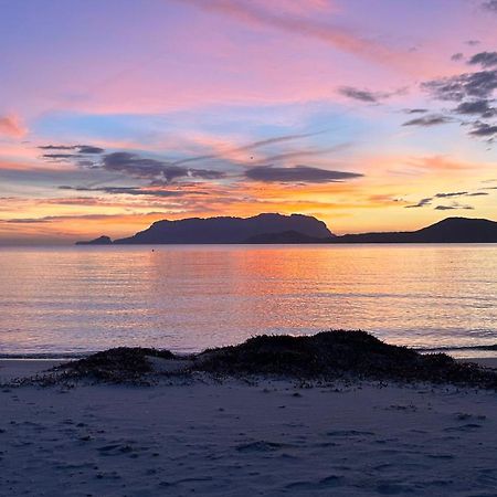 ROSA DEI VENTI - CASA MAESTRALE - Sardegna Villa Olbia Eksteriør bilde