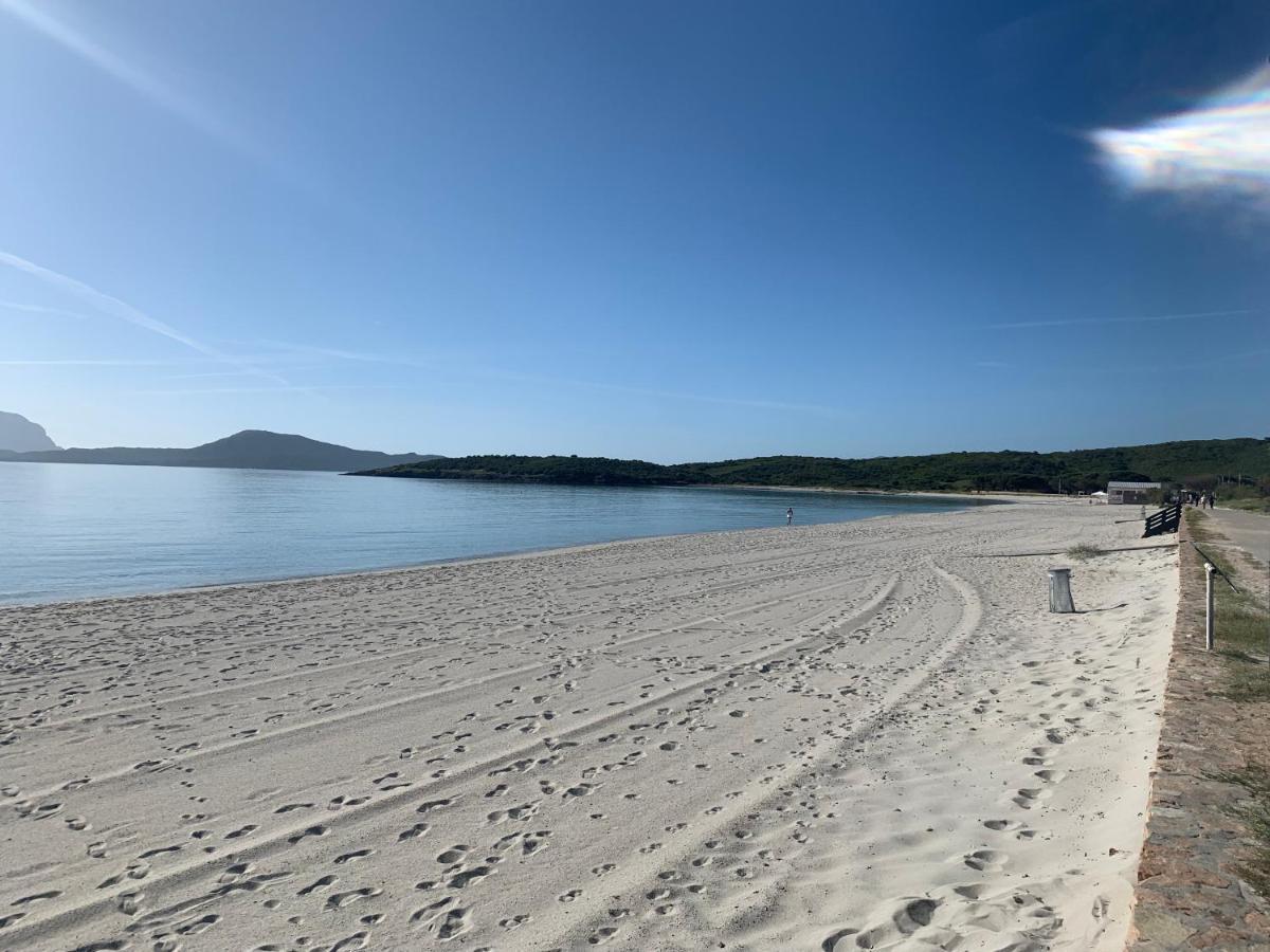 ROSA DEI VENTI - CASA MAESTRALE - Sardegna Villa Olbia Eksteriør bilde