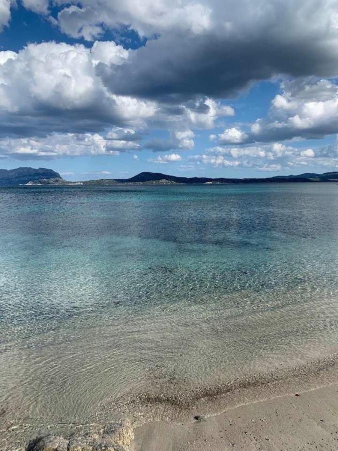 ROSA DEI VENTI - CASA MAESTRALE - Sardegna Villa Olbia Eksteriør bilde