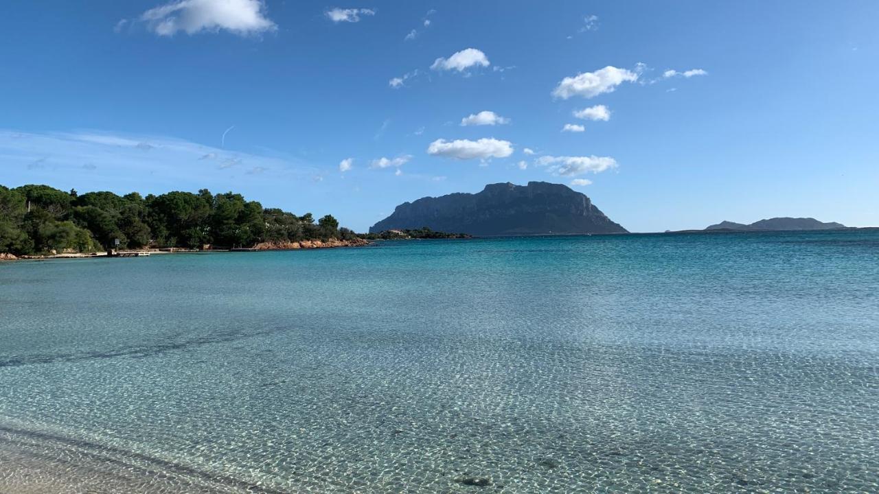 ROSA DEI VENTI - CASA MAESTRALE - Sardegna Villa Olbia Eksteriør bilde